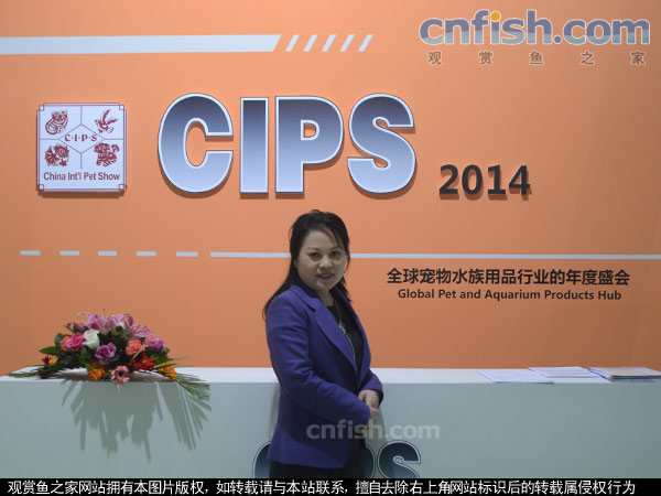 cips2014展会主办方负责人程杨总经理访谈录